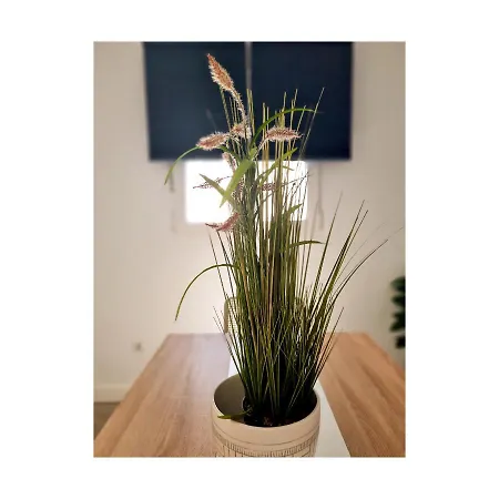 Appartement Con Sol De Paz *