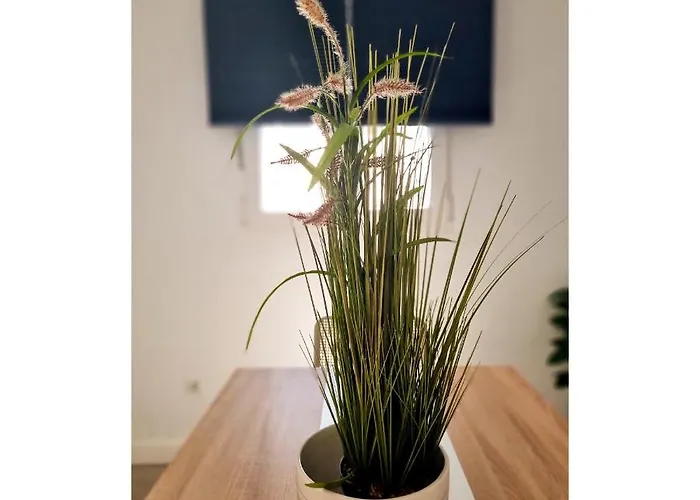 Apartamento Con Sol De Paz *