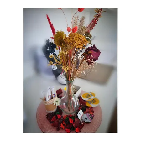 Apartamento Con Sol De Paz