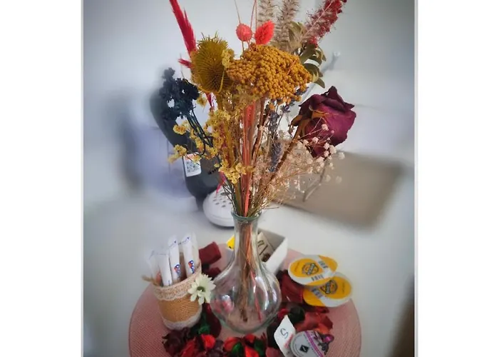 Apartment Con Sol De Paz